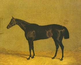 Mulatto
Mulatto Mulatto
Mulatto