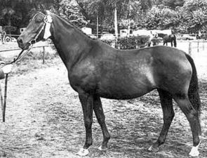 Maharani IIMaharani II