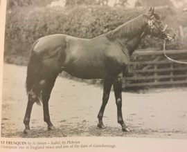 St Frusquin at stud Found in Great Thoroughbred Sires of the World