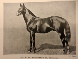 St Frusquin at stud Thoroughbred Racing Stock