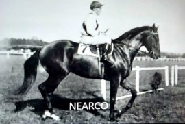 NEARCO - Jockey 