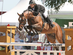 Farfelu de Muze
Farfelu de Muze Farfelu de Muze
Farfelu de Muze