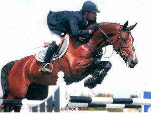 Narcotique de Muze II