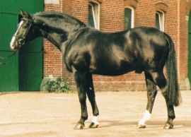 Grannus
Grannus Grannus
Grannus