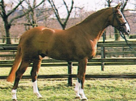 For Pleaure at age 4