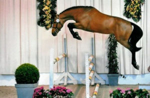 Vagabond de la PommeVagabond de la Pomme