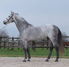 Norton d'Eole
Norton d'Eole Norton d'Eole
Norton d'Eole