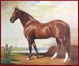 Hambletonian 10