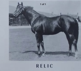 RelicRelic at stud