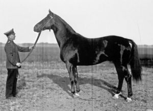 Termit
Termit Termit
Termit