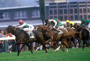 Dancing Brave