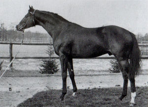 Cardinal
Cardinal Cardinal
Cardinal