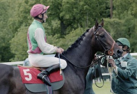 Dancing Brave Greville Starkey