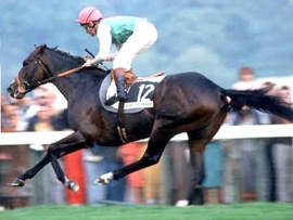 Dancing Brave Pat Eddery