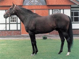 DANCING BRAVE