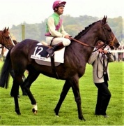 DANCING BRAVE - Track - walk