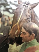 Greville Dancing Brave