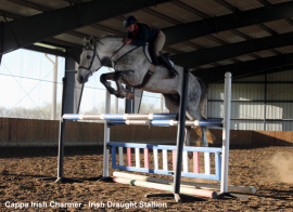 Grand Prix schooling