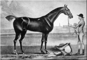 Bay BoltonBay Bolton