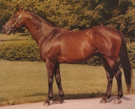 Mr Prospector Thoroughbred Ancestry FB page