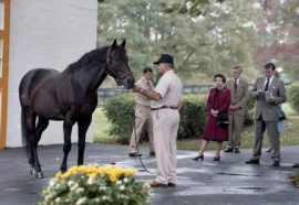 Mr. Prospector with Queen Elizabeth at Claiborne Farm  