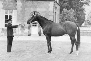 Night and DayNight and Day