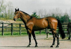 Nabab de Reve
Nabab De Reve Nabab de Reve
Nabab De Reve