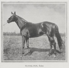 Flying Foxpicture of &quot;LSUI&quot; 03-04-1921