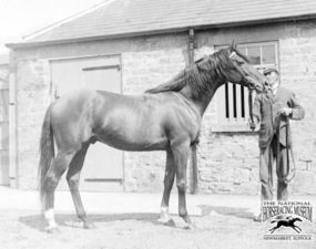 William the ThirdWilliam The Third