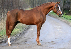 Hugh Grant de Muze
Hugh Grant de Muze Hugh Grant de Muze
Hugh Grant de Muze