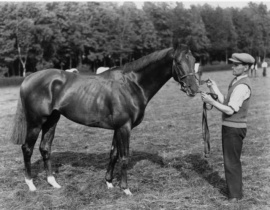 Hyperion on the day of the Derby