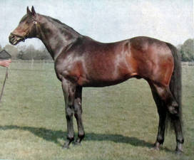 Blast
Blast Blast
Blast