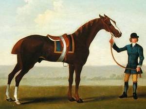 Leedes Old CarelessLeedes Old Careless