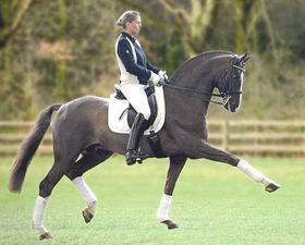 Belissimo MBelissimo M