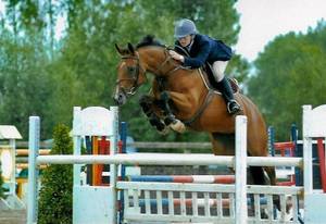 Fragance de Chalus
Fragance de Chalus Fragance de Chalus
Fragance de Chalus