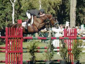 Jolly Girl de Kervec
Jolly Girl de Kervec Jolly Girl de Kervec
Jolly Girl de Kervec