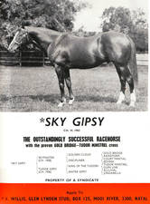 Sky Gipsy