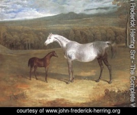 Jack Spigot foal with mother, 1818