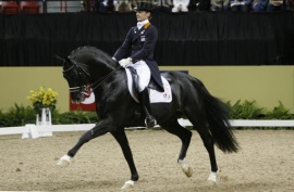 Gribaldi dressage