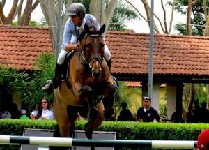 Honnete de Muze
Honnete de Muze Honnete de Muze
Honnete de Muze