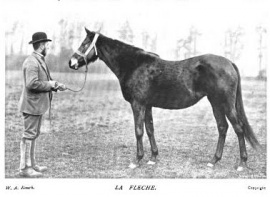 LA FLECHE standing - handler