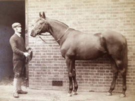 Martagon newly at stud Estate of Walter S Vosburgh 