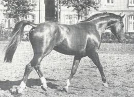 Sendernixe
Sendernixe Sendernixe
Sendernixe