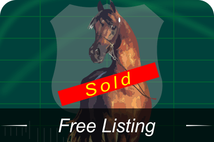 Horse Sales