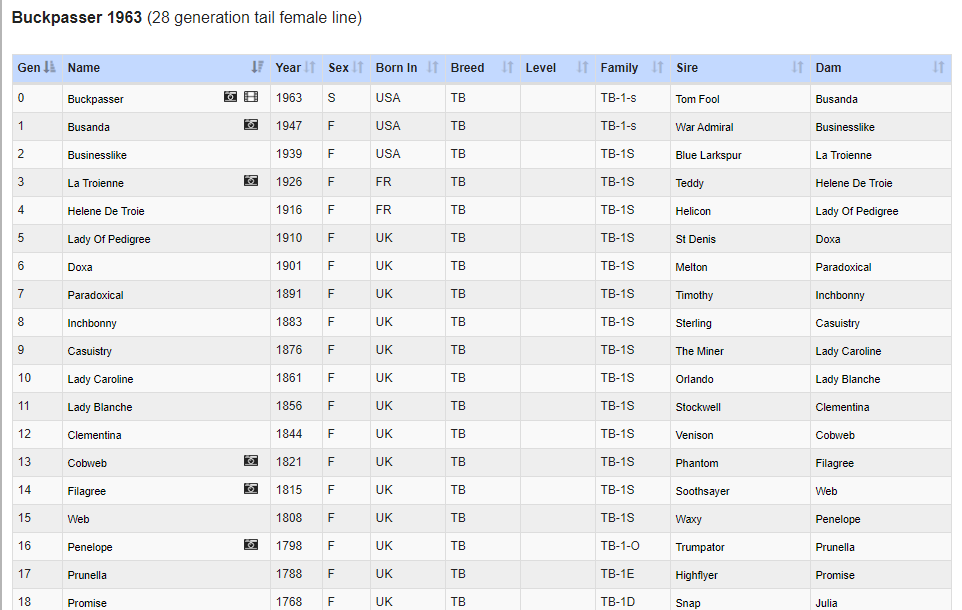 Tail Female Report for Buckpasser